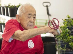 Beauty Out of Dust: 75 Years Later, Japanese-Americans Remember WWII Incarceration