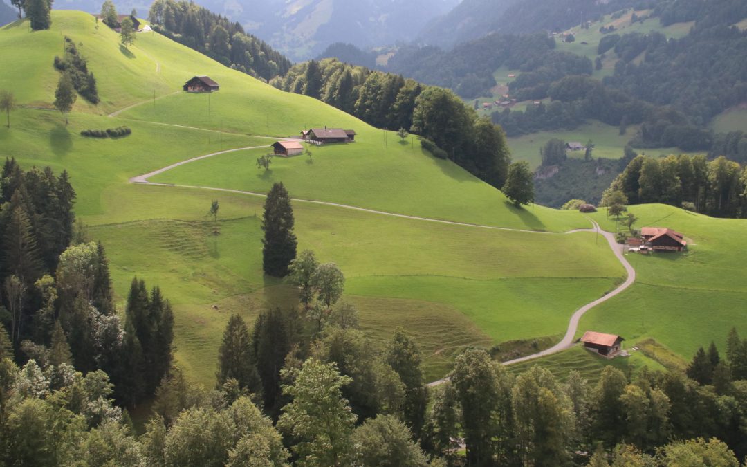 Swiss Agriculture and Ancestry