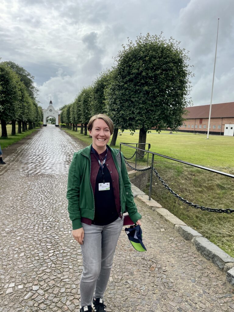 Lessons From Denmark