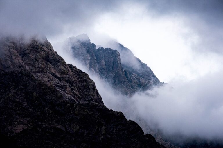 Photography Tips for Quick Inspiration