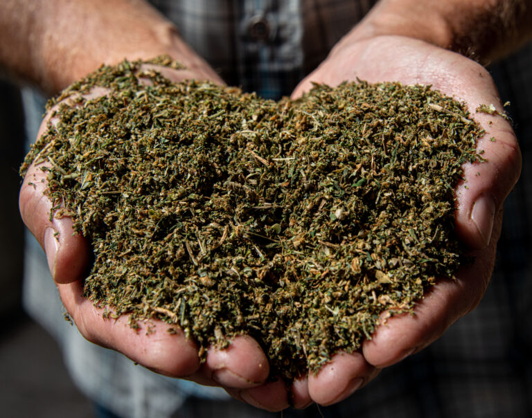 “Hemp Collection” – 2021 AAEA Communication Award Winning Photo