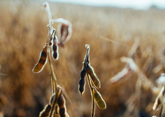 The Hard Work and High Reward of Brand Reputation Management