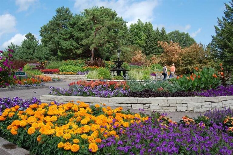 New AMS Tour Option: Take in the Arboretum Extravaganza on Sunday