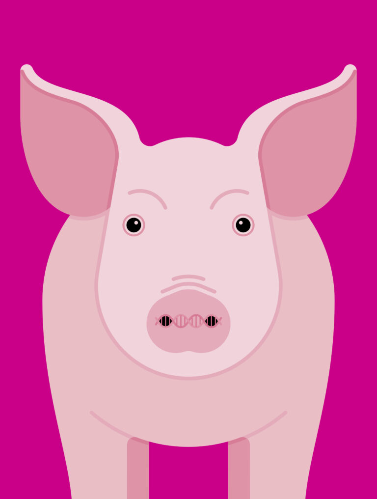 Advice from Our Mentors, Part Two