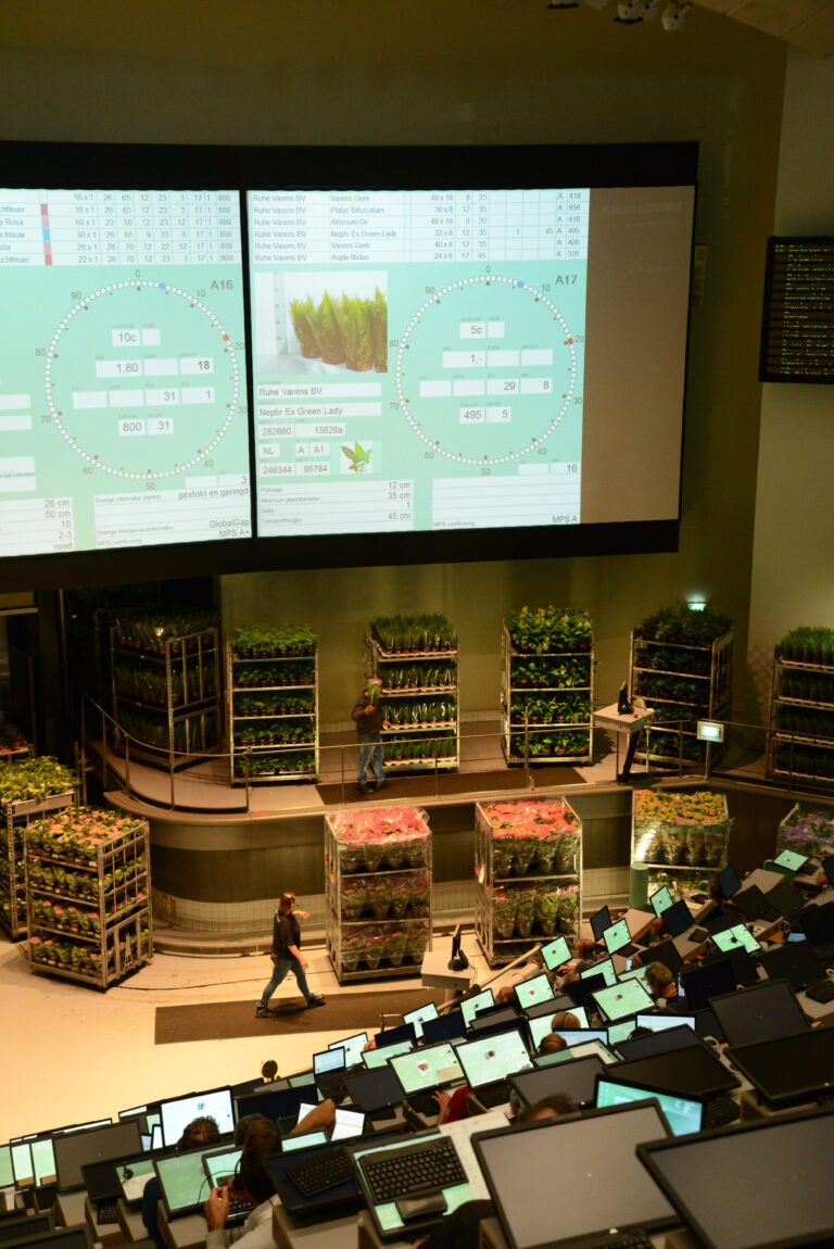 A Bloomin’ Good Time