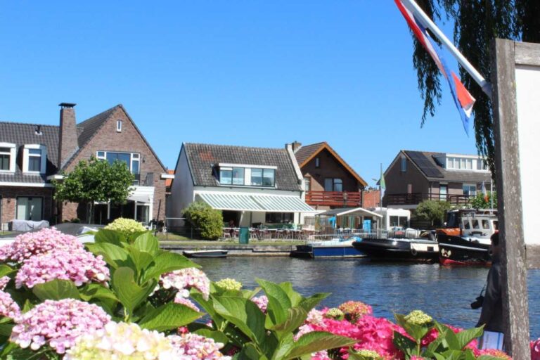 Dutch Roots: A Small Country with Big Solutions