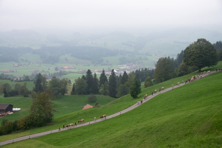 “Down From the Mountains”