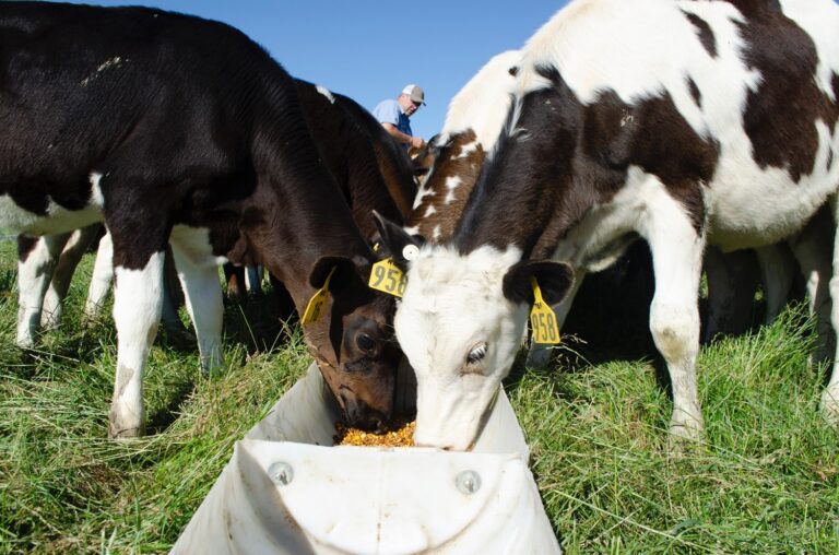 Story Behind the Picture: Emerging Photographer