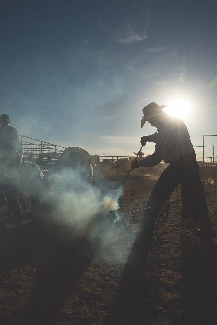 Story Behind the Picture: Branding Silhouette
