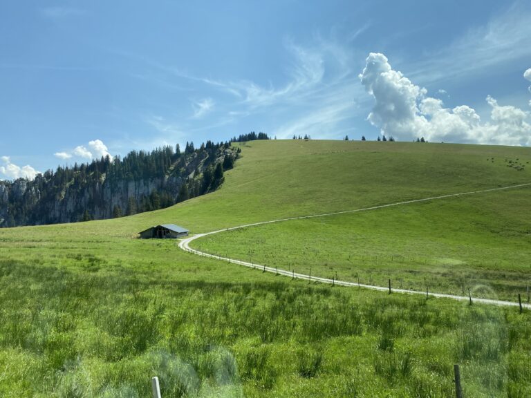 Swiss Cows, Cheese, and Questioning Consumers: My IFAJ Congress Takeaways