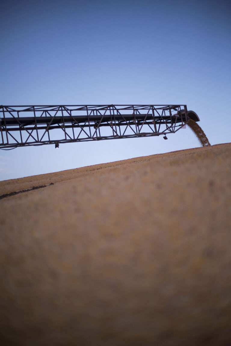 Story Behind the Picture: Worth the Climb