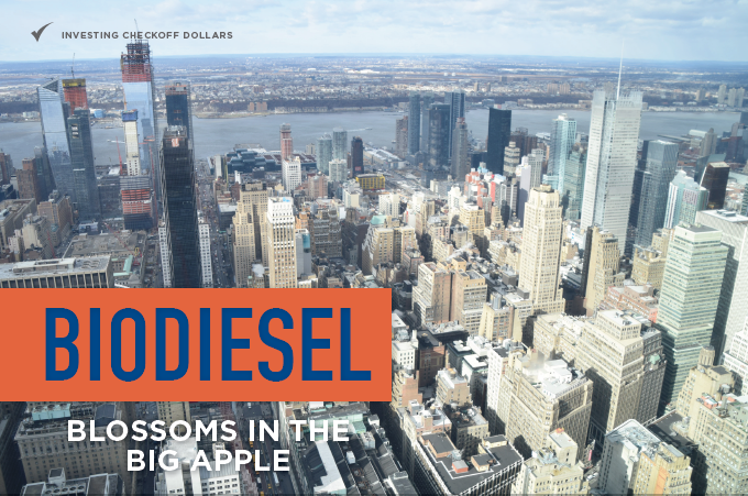 Story behind the Stories: Biodiesel Blossoms in the Big Apple