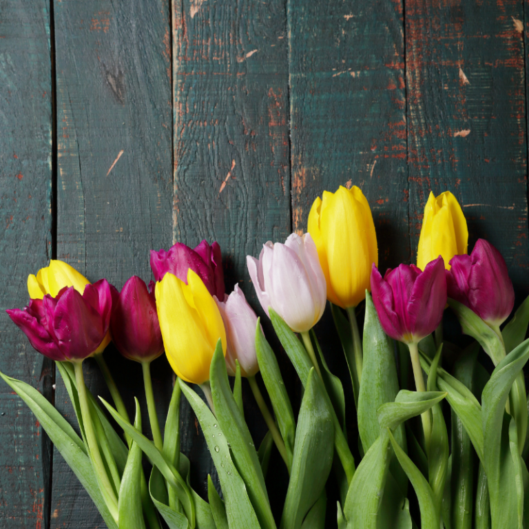 The Uninhibited Memoirs of Two Stewardesses