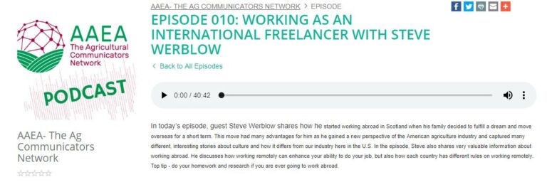 Podcast: Working as an International Freelancer with Steve Werblow