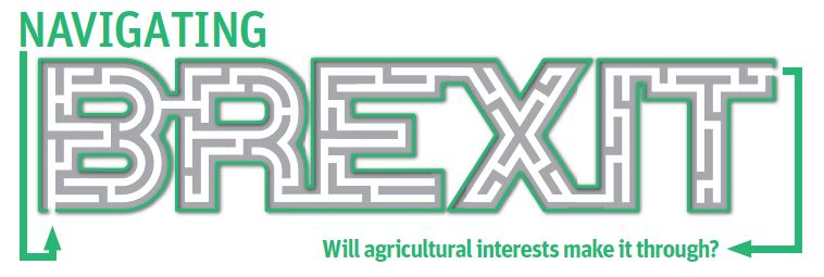 Award Winner Feature: Barb Duckworth, Navigating Brexit