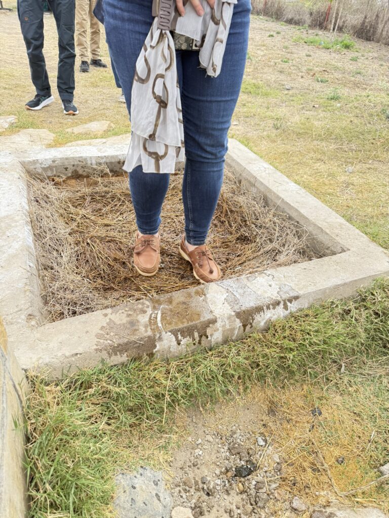 Kapiti Research Station sanitization