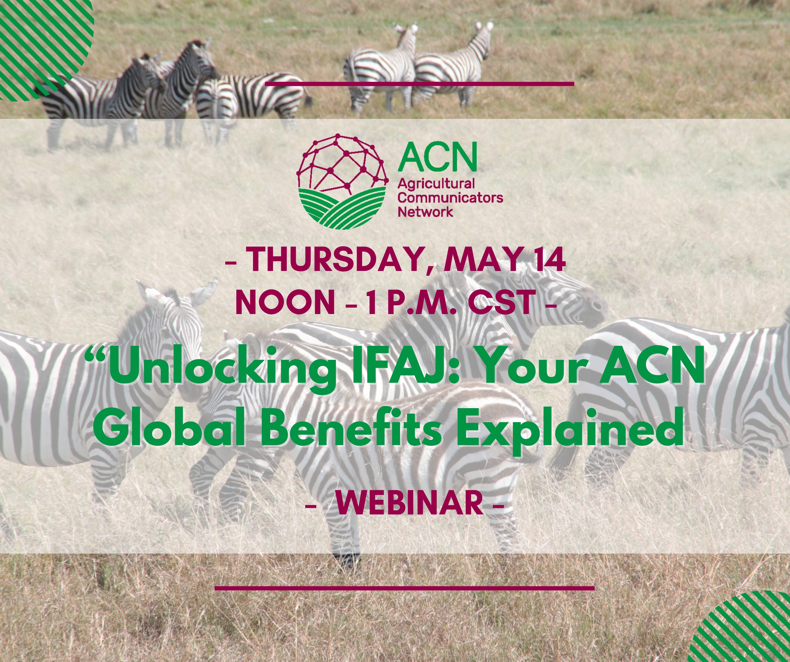 Zebras in background, IFAJ webinar