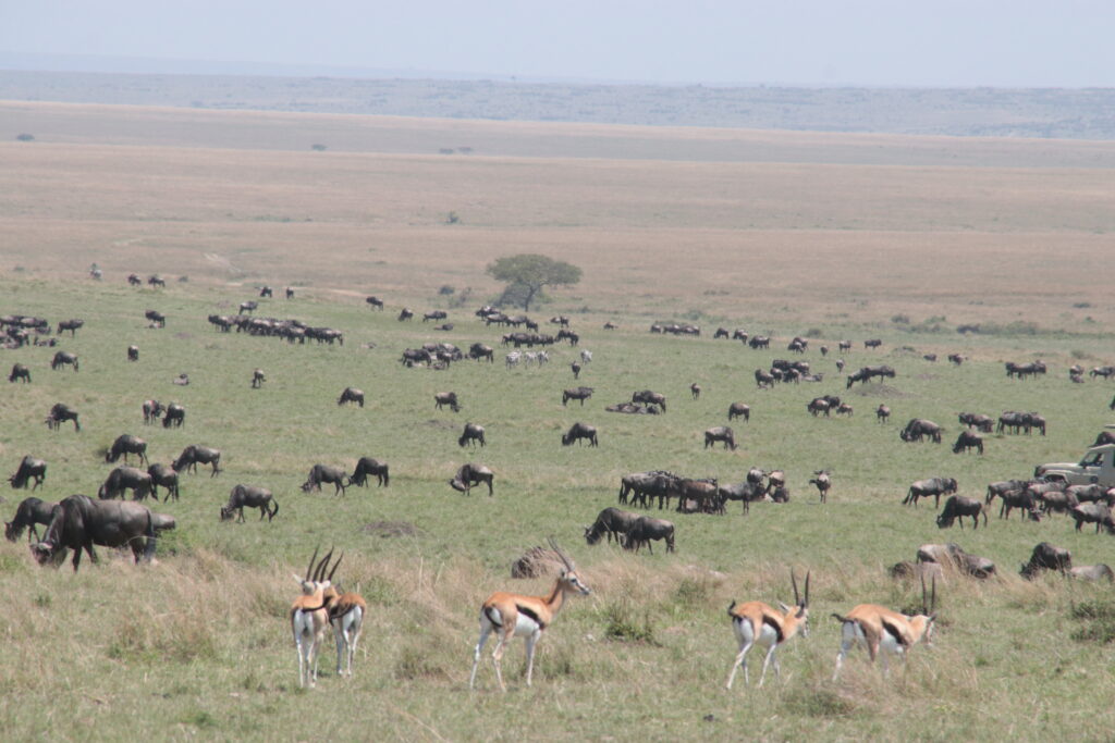 Amboseli National Park