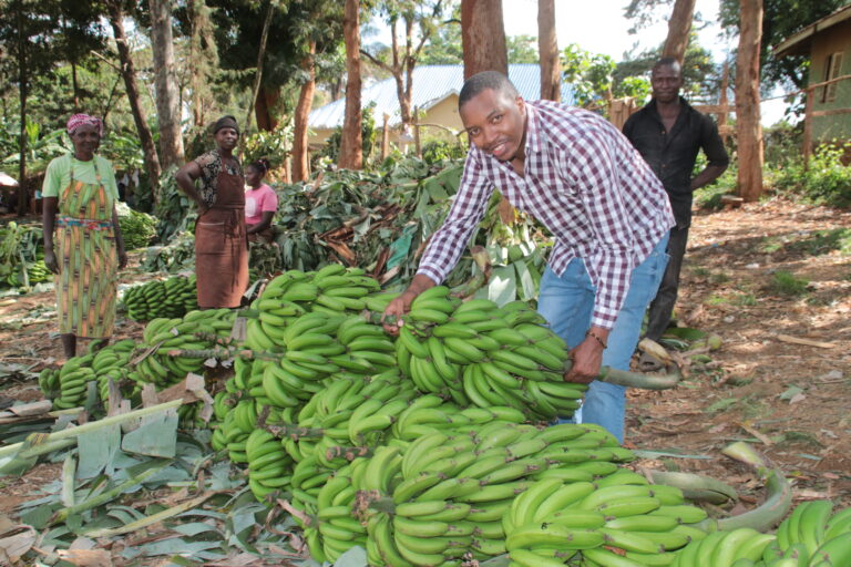 Kenyan man with banana bunches.