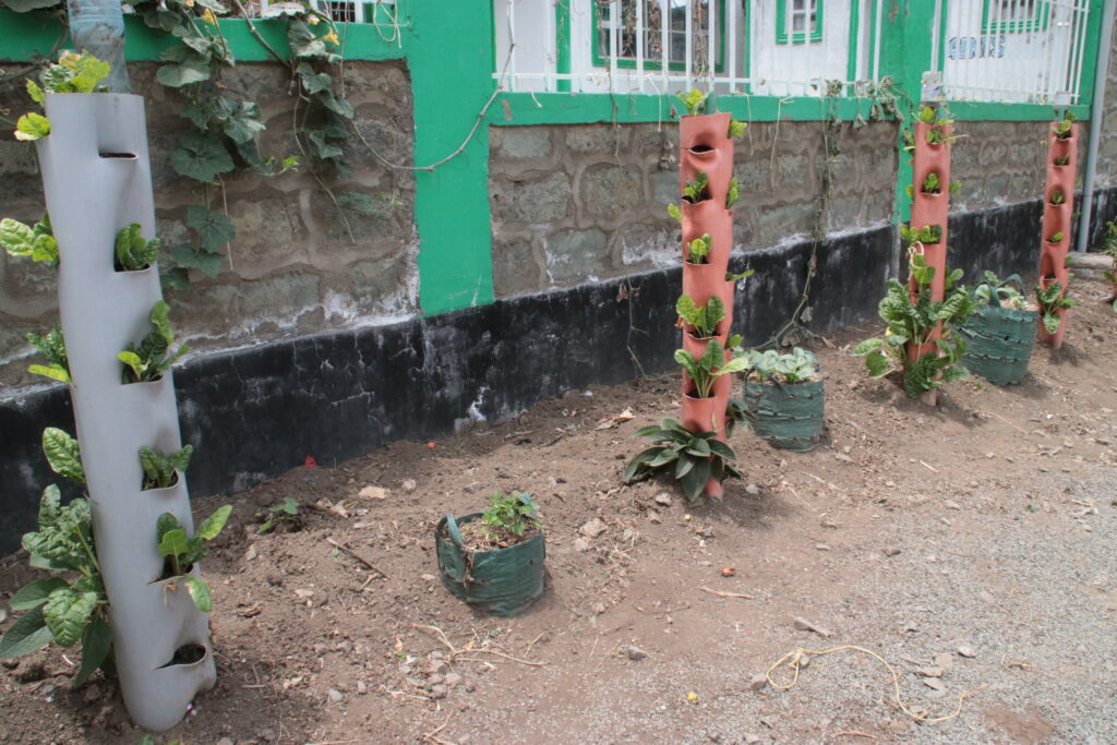 Farm with pipe gardens