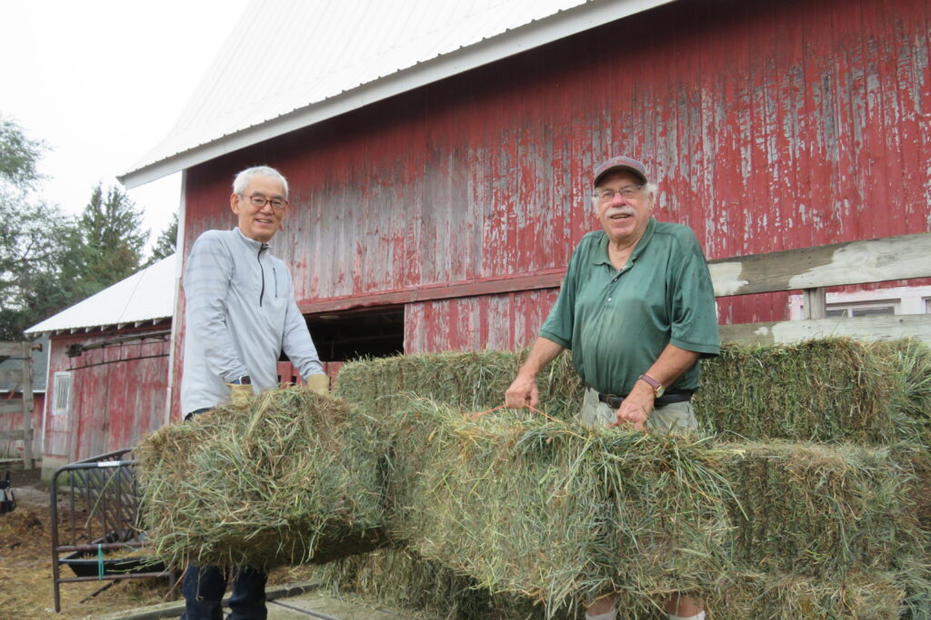 Moving square hay bales