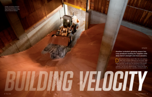Building Velocity